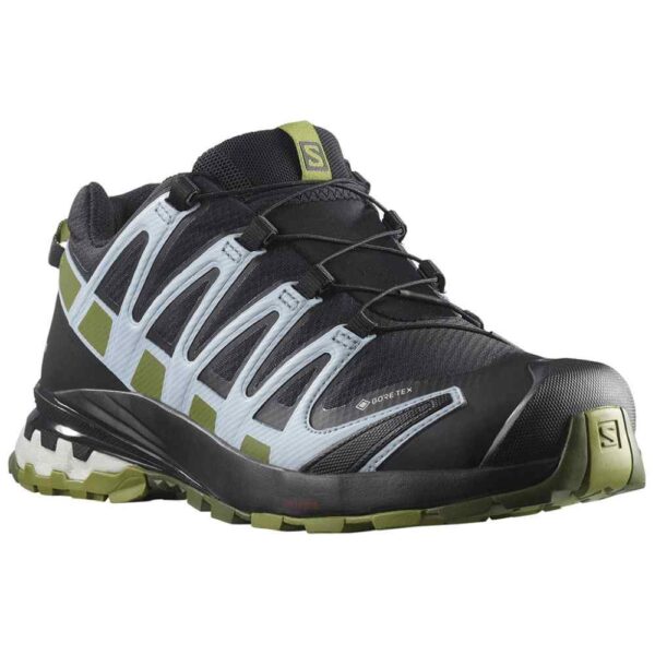 Women's Salomon XA Pro 3D V8 GTX Shoe