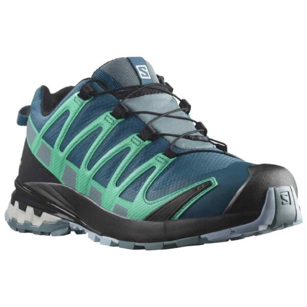 Women's Salomon XA Pro 3D V8 GTX Shoe