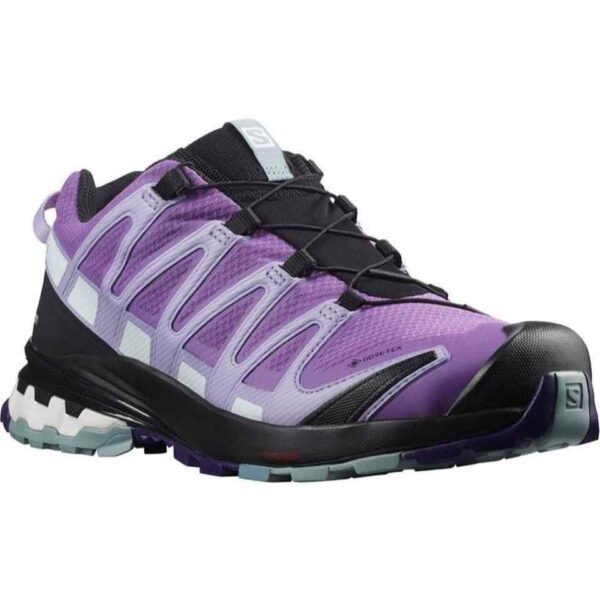 Women's Salomon XA Pro 3D V8 GTX Shoe