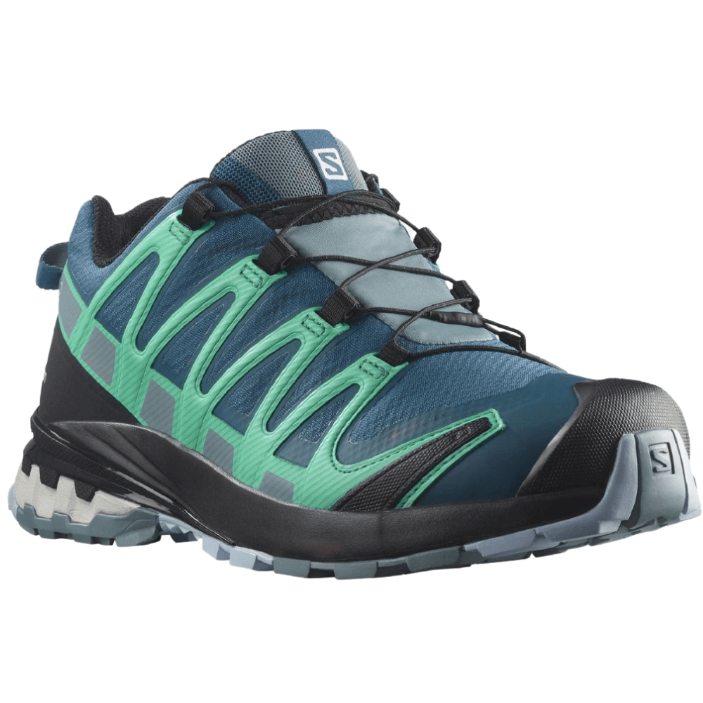 Women's Salomon XA Pro 3D V8 GTX Shoe