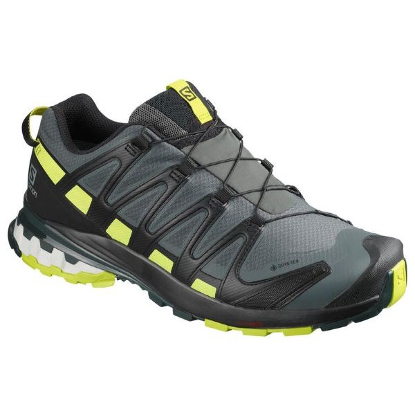 Men's Salomon XA Pro 3D GTX