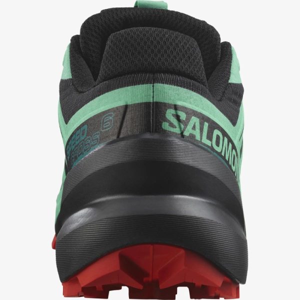 Women's Salomon Speedcross 6 Shoe
