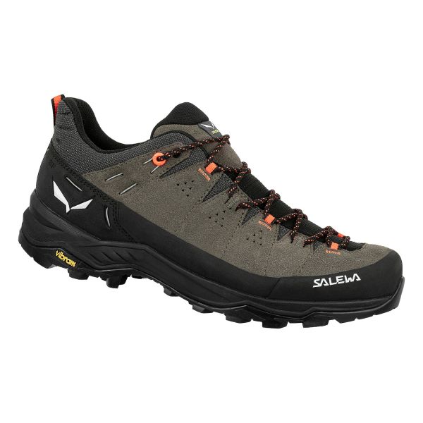 Men's Salewa Alp Trainer 2 GTX Shoe