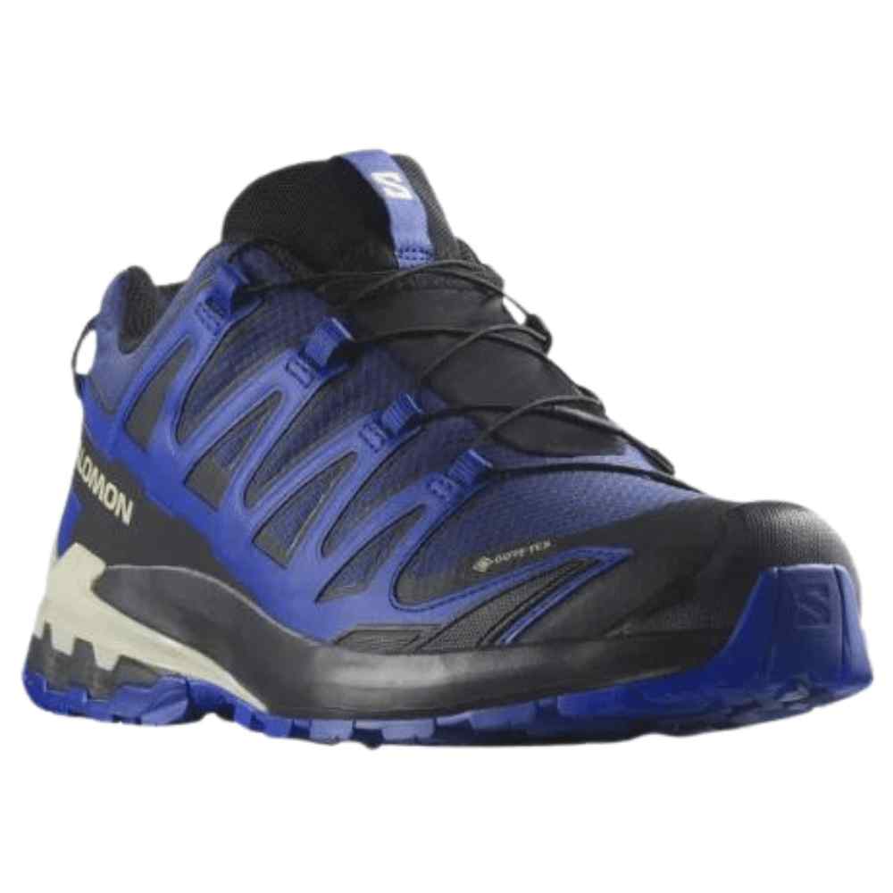 Men's Salomon XA Pro 3D V9 GTX Shoe