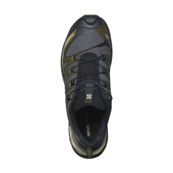 Men's Salomon XA Pro 3D V9 GTX Shoe
