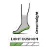 Women's Smartwool Hike Light Cushion Margarita Crew Socks
