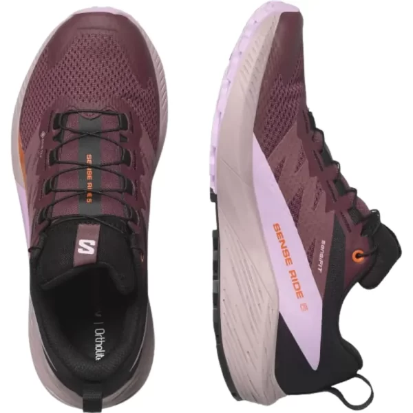 Women's Salomon Sense Ride 5 GTX