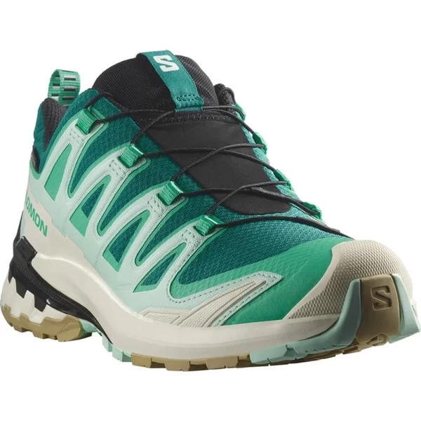 Women's Salomon XA Pro 3D V9 GTX Shoe