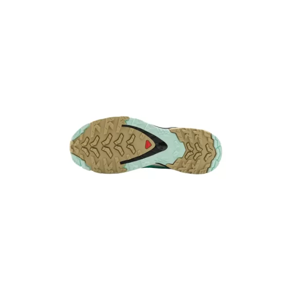 Women's Salomon XA Pro 3D V9 GTX Shoe